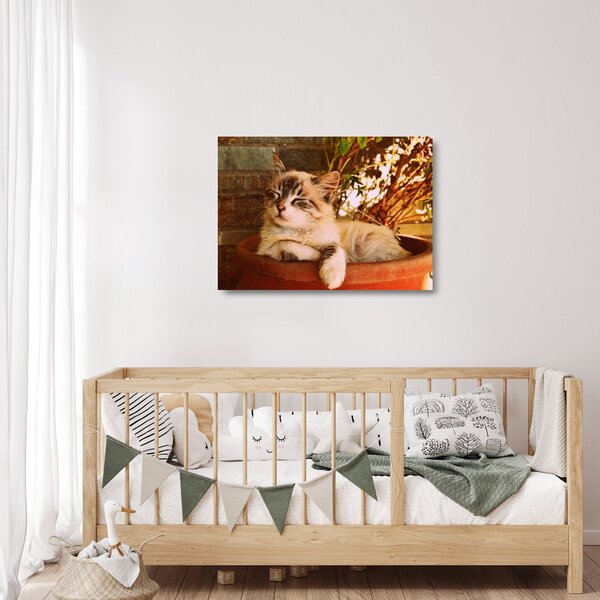 Tablou pe sticlă cu pisica în ghiveci (70x50 cm)