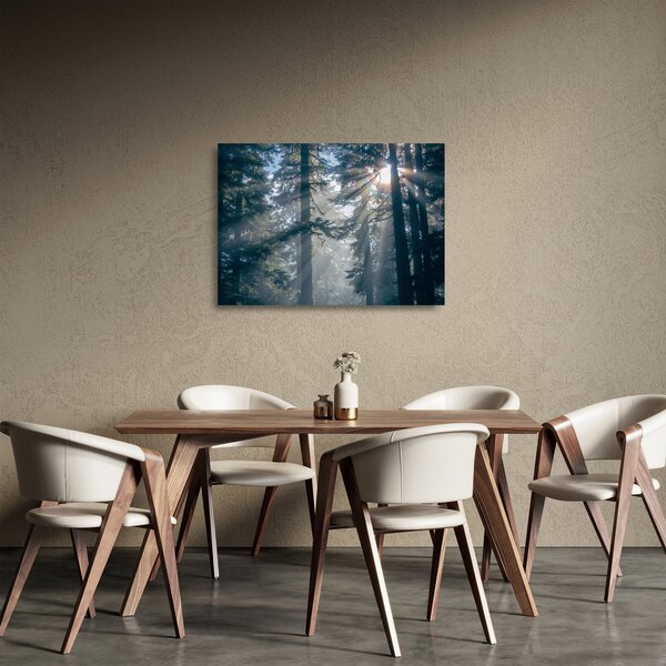 Tablou pe sticlă cu copaci și soarele translucind (70x50 cm)