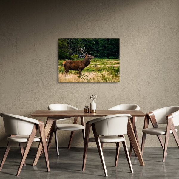 Tablou pe sticlă cu cerb (70x50 cm)