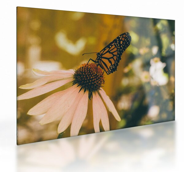 Tablou pe sticlă cu fluture pe floare (70x50 cm)