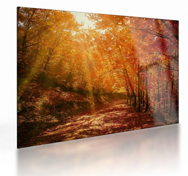 Tablou pe sticlă cu pădurea în toamnă (70x50 cm)
