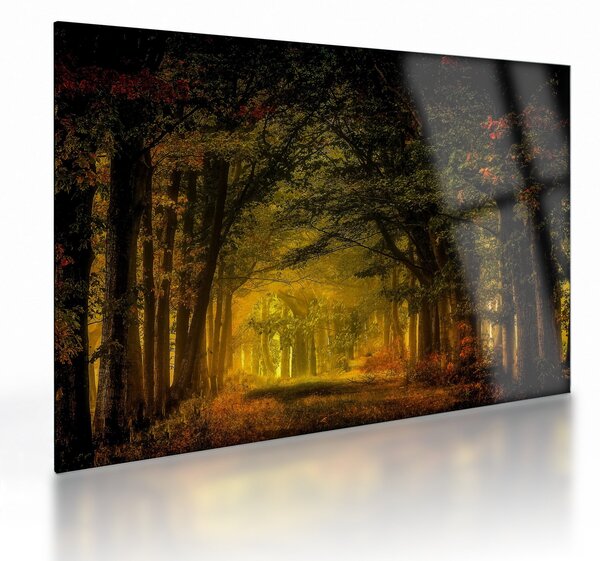 Tablou pe sticlă cu pădure (70x50 cm)