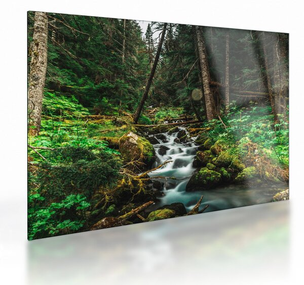 Tablou pe sticlă cu pârău în pădure (70x50 cm)
