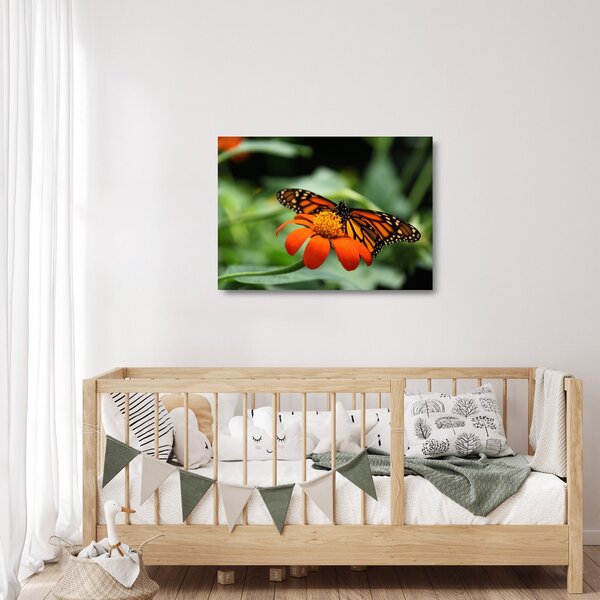Tablou pe sticlă cu fluture pe floare (70x50 cm)
