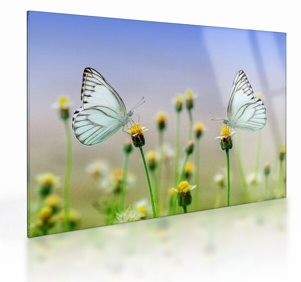 Tablou pe sticlă cu fluture pe floare (70x50 cm)