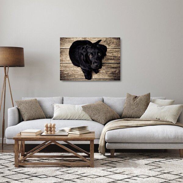 Tablou pe sticlă cu cățeluș negru (70x50 cm)