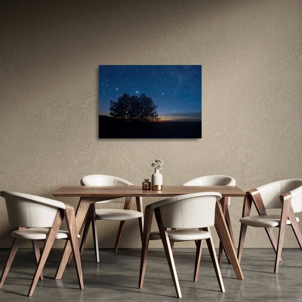 Tablou pe sticlă cu copaci noapte (70x50 cm)