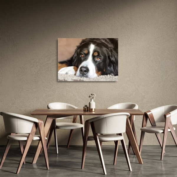 Tablou pe sticlă cu câine (70x50 cm)