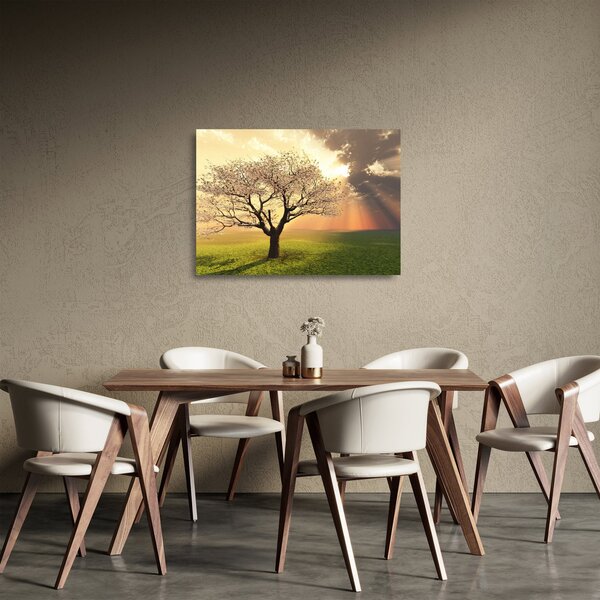 Tablou pe sticlă cu copac pe luncă (70x50 cm)