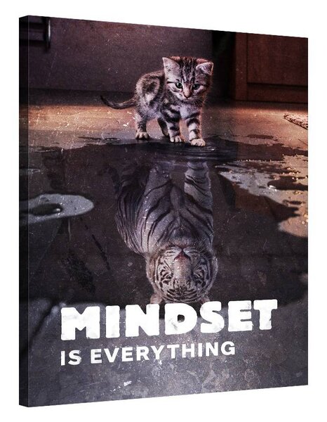 Mindset is everything (Tiger)