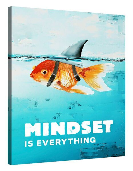 Mindset is everything (Shark)
