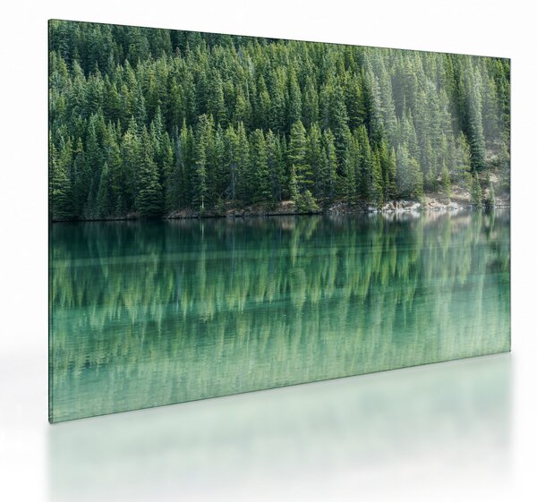 Tablou pe sticlă - Coniferi lângă lac (70x50 cm)