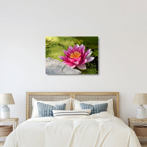 Tablou pe sticlă - Lotus (70x50 cm)