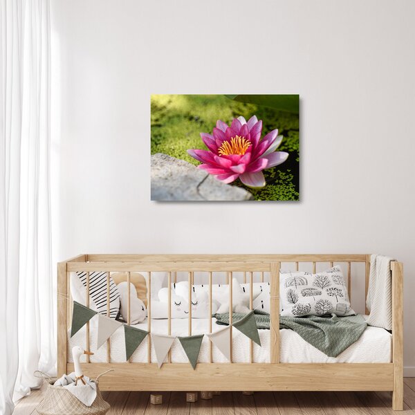 Tablou pe sticlă - Lotus (70x50 cm)
