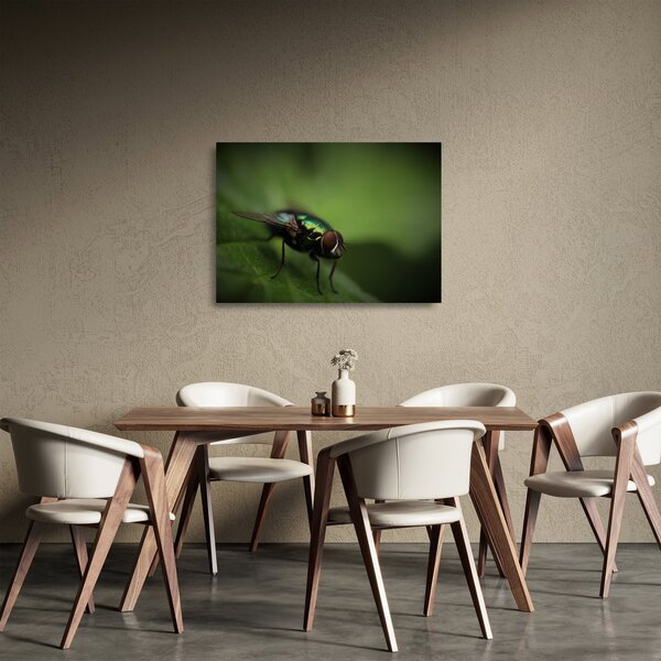 Tablou pe sticlă - Musca (70x50 cm)