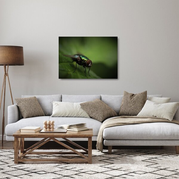 Tablou pe sticlă - Musca (70x50 cm)