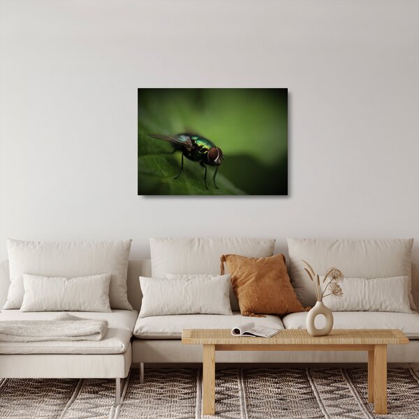 Tablou pe sticlă - Musca (70x50 cm)
