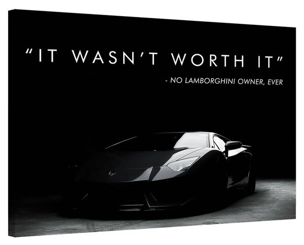 Lamborghini Owner