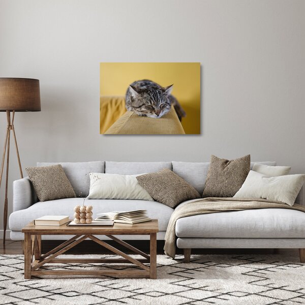 Tablou pe sticlă cu pisica pe fotoliu (70x50 cm)
