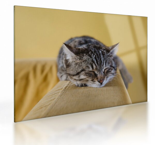 Tablou pe sticlă cu pisica pe fotoliu (70x50 cm)