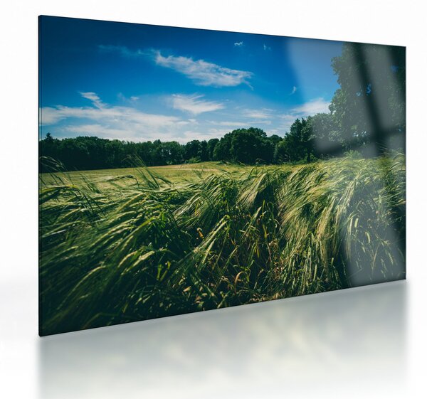 Tablou pe sticlă cu linca și pădure (70x50 cm)