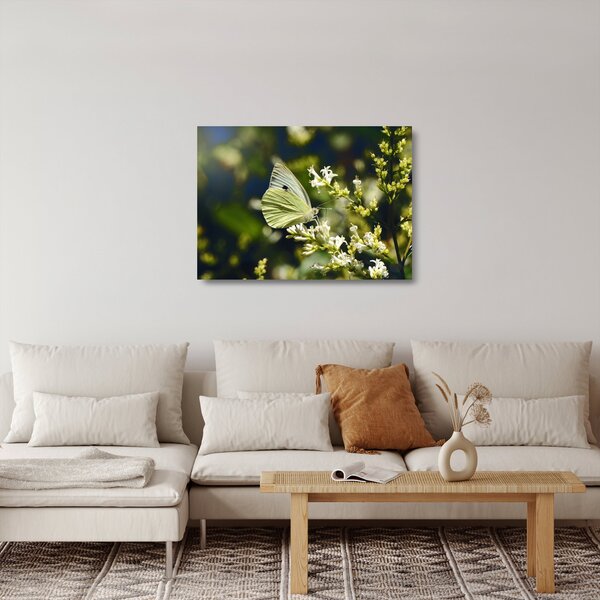 Tablou pe sticlă cu fluture (70x50 cm)