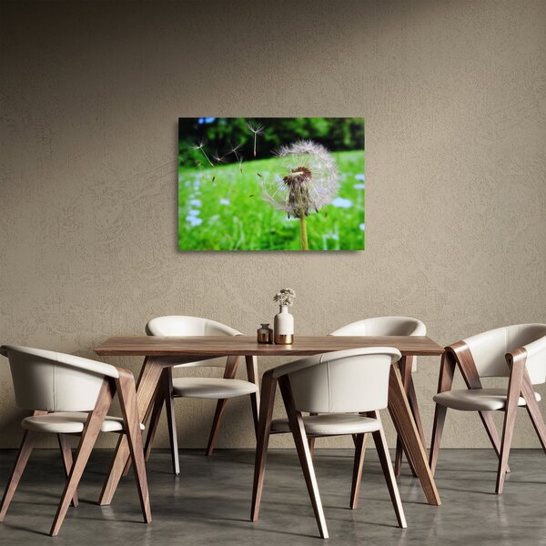 Tablou pe sticlă cu păpădie (70x50 cm)