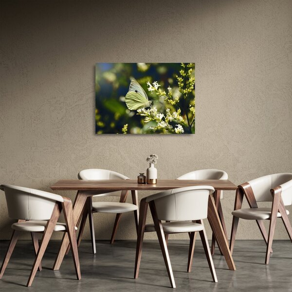 Tablou pe sticlă cu fluture (70x50 cm)