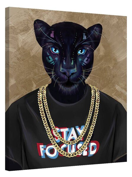 Stay Focused · Panthera