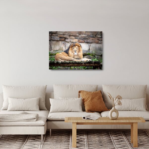 Tablou pe sticlă cu leu (70x50 cm)