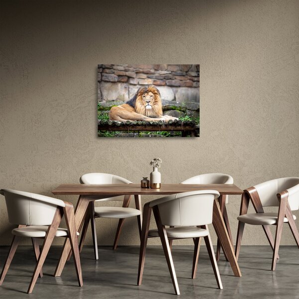 Tablou pe sticlă cu leu (70x50 cm)