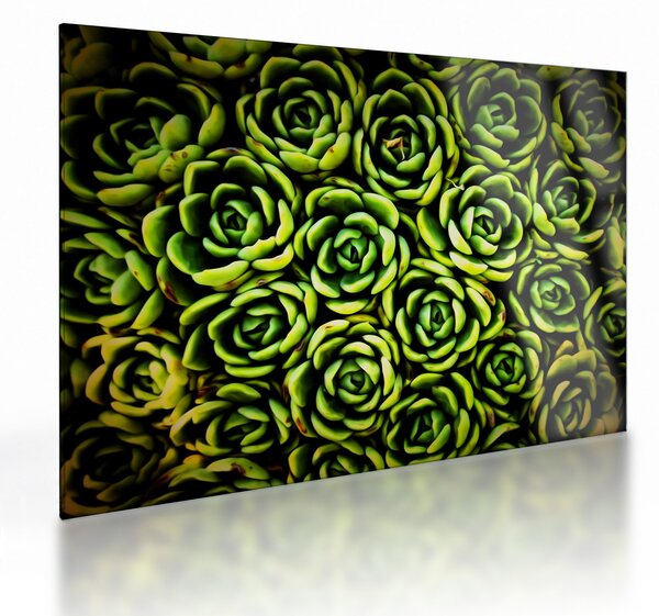 Tablou pe sticlă cu flori de piatră (70x50 cm)