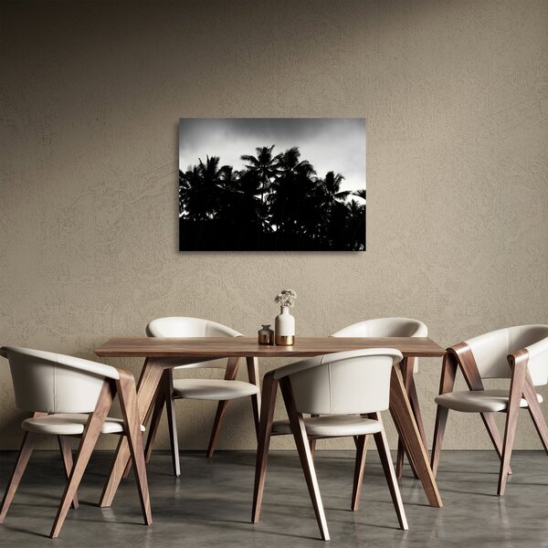 Tablou pe sticlă alb negru - palmieri (70x50 cm)