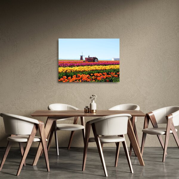 Tablou pe sticlă cu farma de lalele (70x50 cm)