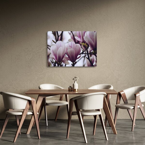 Tablou pe sticlă - Magnolie (70x50 cm)