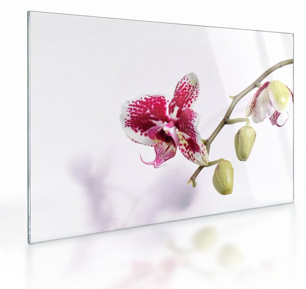 Tablou pe sticlă cu floarea de orhidee (70x50 cm)