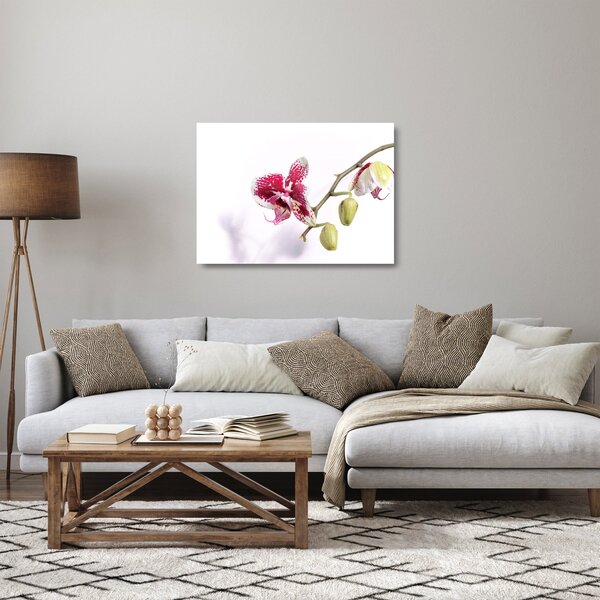Tablou pe sticlă cu floarea de orhidee (70x50 cm)
