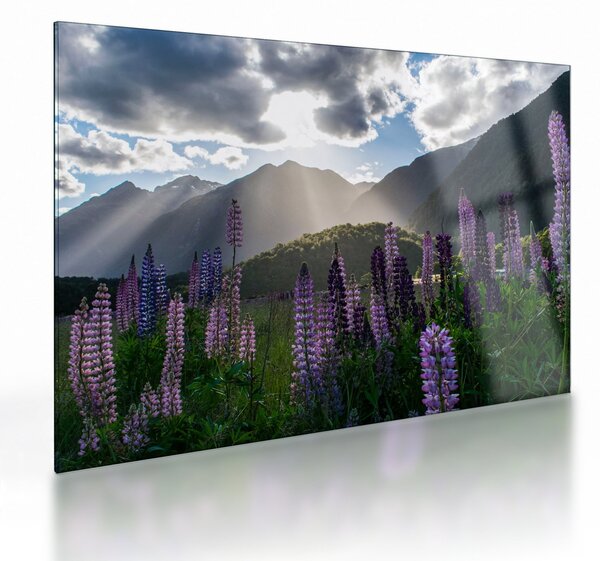 Tablou pe sticlă - scenariu cu flori de Lupin (70x50 cm)