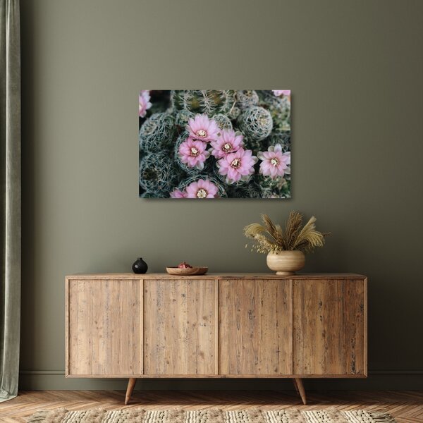 Tablou pe sticlă floare de cactus (70x50 cm)