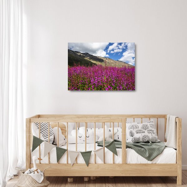 Tablou pe sticlă sceneriei cu lunca montană (70x50 cm)