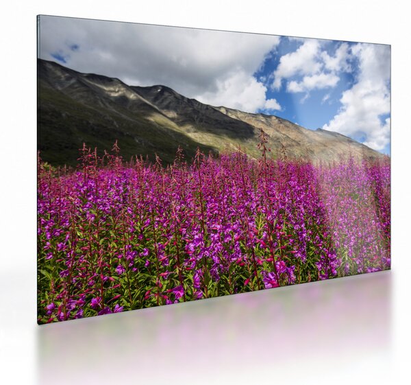 Tablou pe sticlă sceneriei cu lunca montană (70x50 cm)