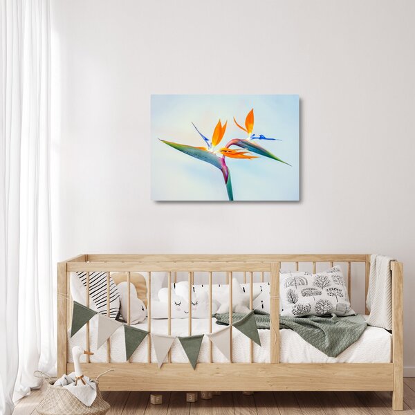 Tablou pe sticlă cu floarea Strelicie (70x50 cm)