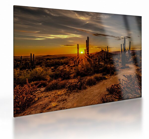 Tablou pe sticlă - Sfărșit de zi în deșertul Arizona (70x50 cm)