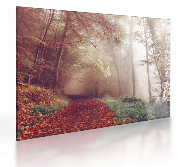 Tablou pe sticlă - Plimbarea de toamnă prin pădure (70x50 cm)