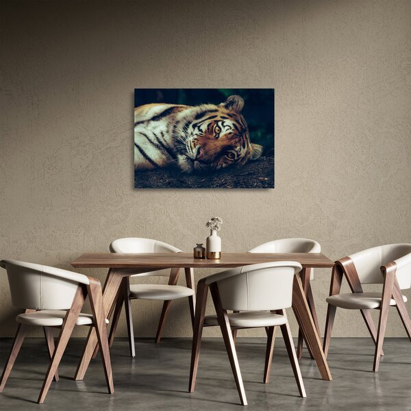 Tablou pe sticlă - Tigrul Siberian (70x50 cm)