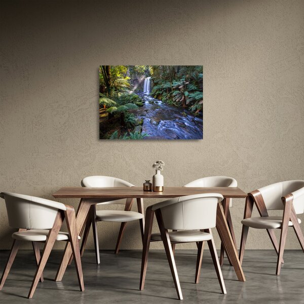 Tablou pe sticlă cu pădurea ploilor din Austalia (70x50 cm)