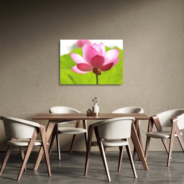Tablou pe sticlă cu flori de lotus (70x50 cm)