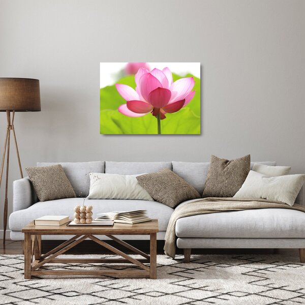 Tablou pe sticlă cu flori de lotus (70x50 cm)