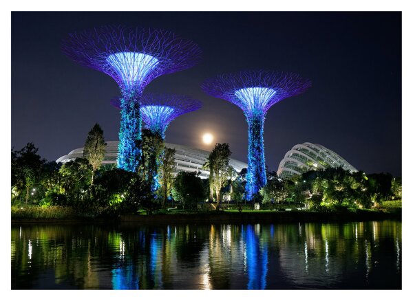 Tablou pe sticlă cu lună plină în grădinile din Singapur (70x50 cm)