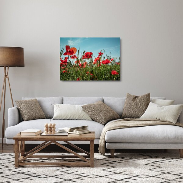 Tablou pe sticlă - Pe câmpul cu maci (70x50 cm)